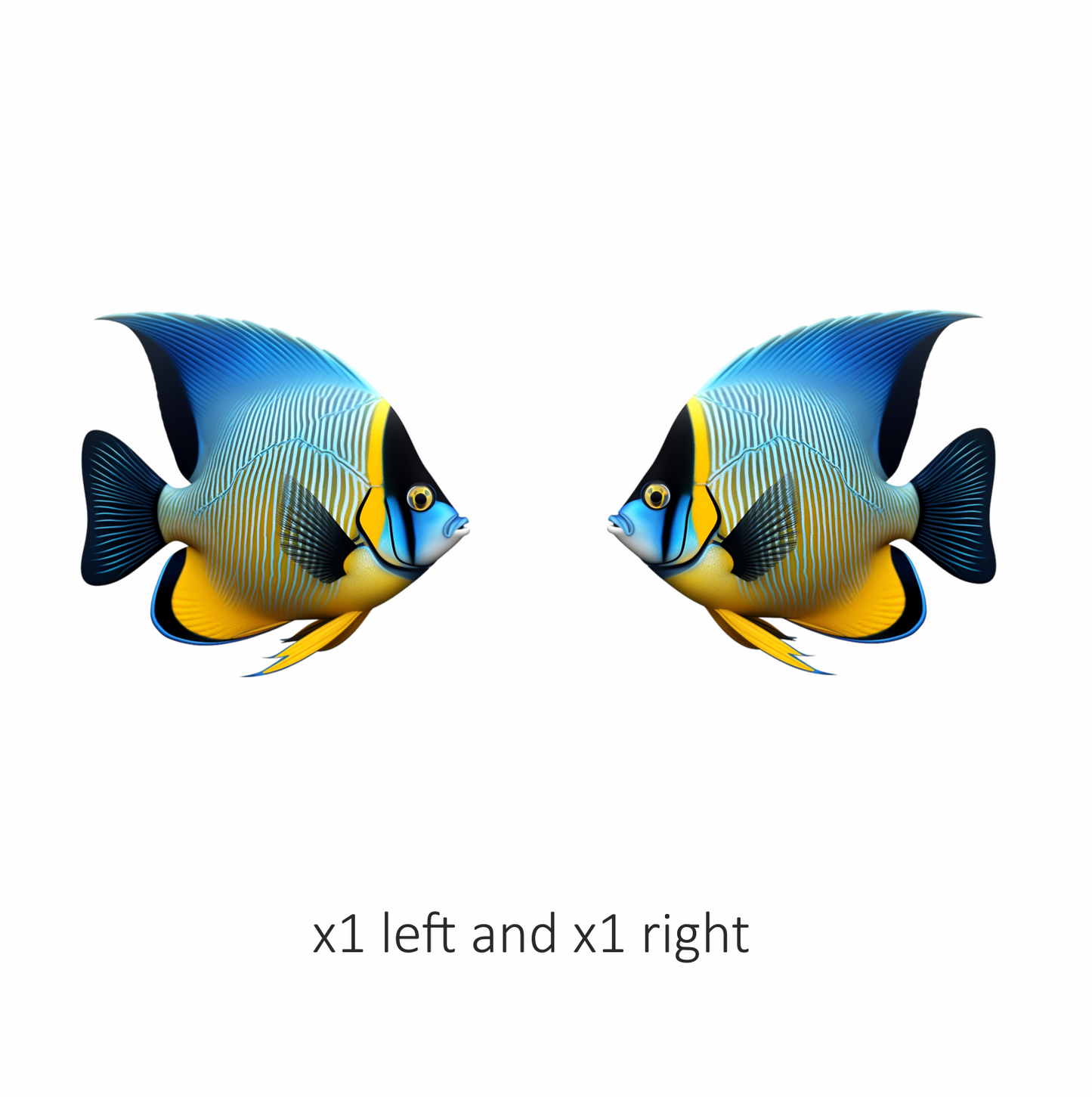 Blue Yellow Striped Angelfish Tropical Vinyl Sticker Decal