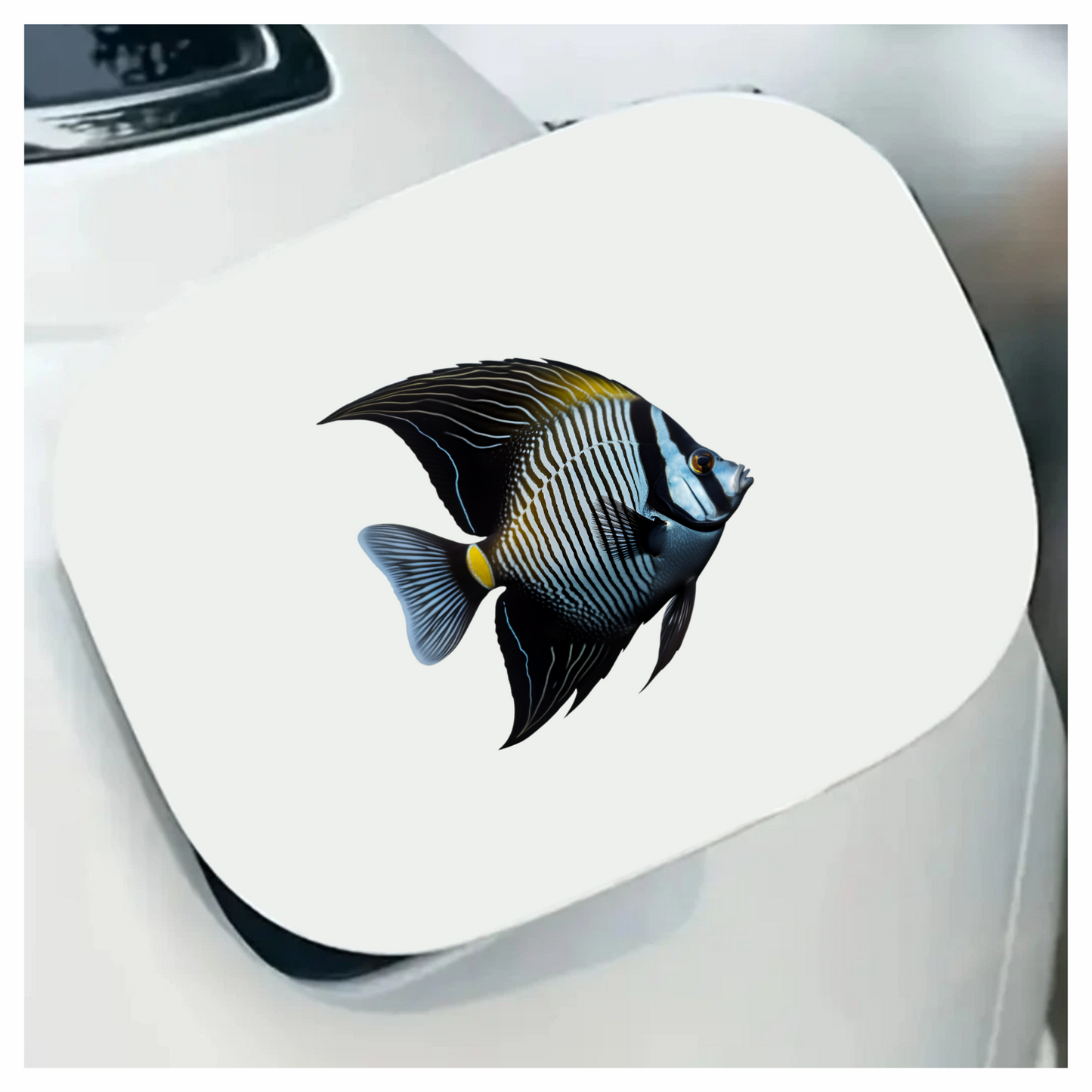 Black White Striped Angelfish Tropical Vinyl Sticker Decal