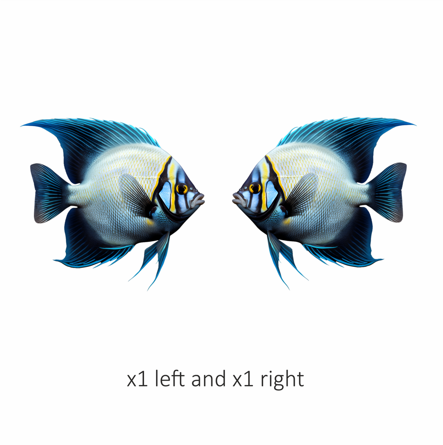 Blue Tropical Fish Angelfish Aquarium Vinyl Sticker Decal
