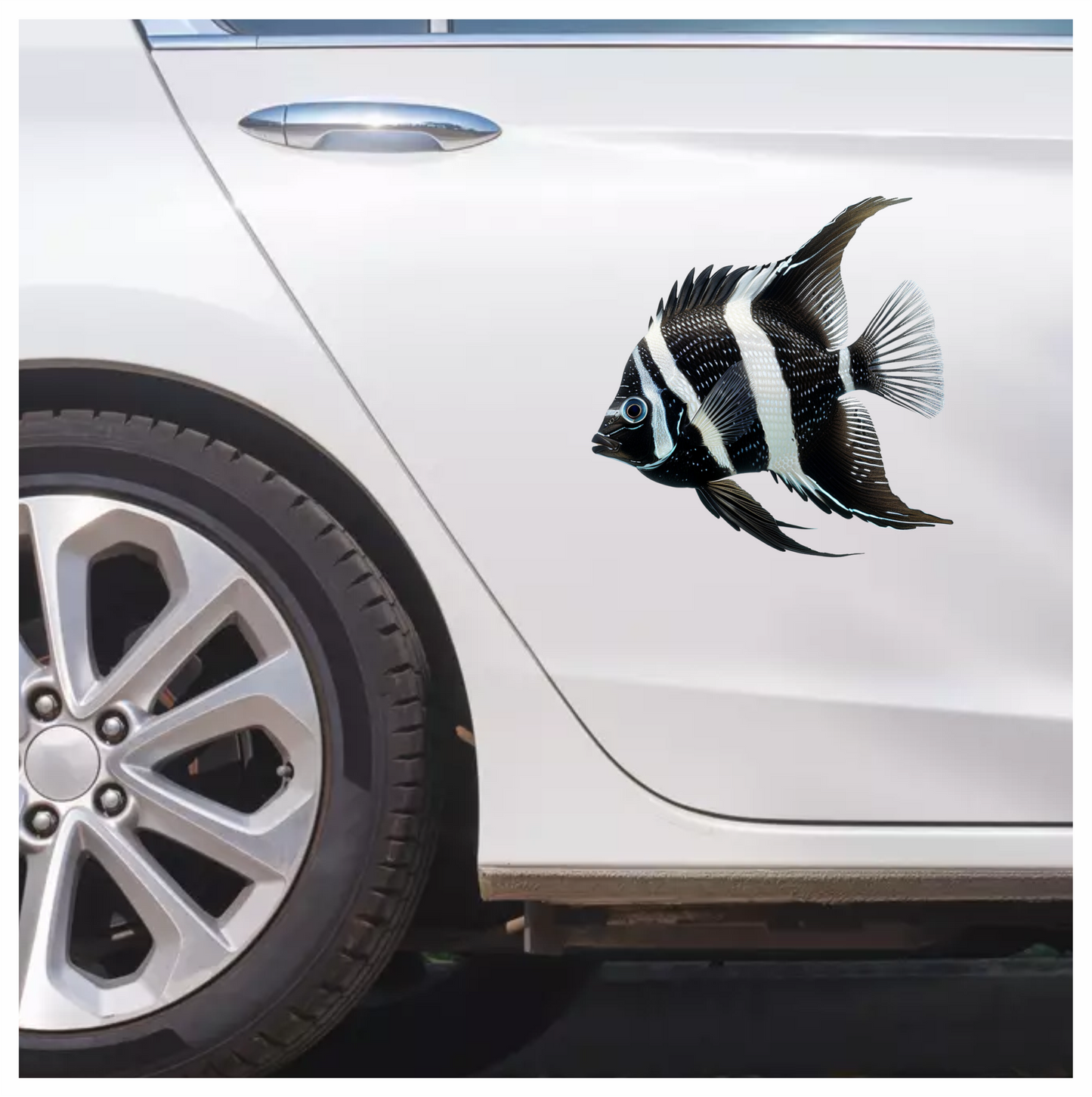 Black White Fish Angelfish Tropical Vinyl Sticker Decal