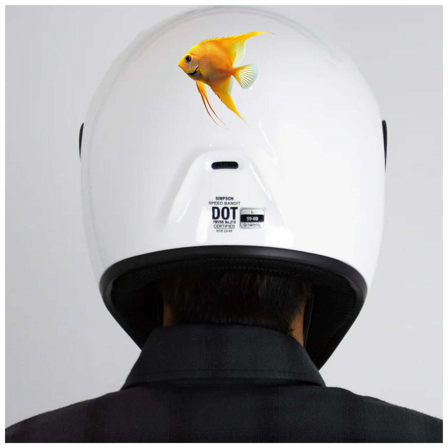 Orange Fish Freshwater Angelfish Side Vinyl Sticker Decal