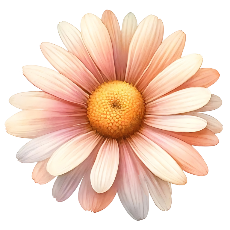Pink White Yellow Daisy Flower Vinyl Sticker Decal