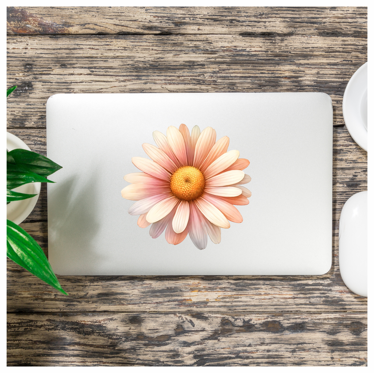 Pink White Yellow Daisy Flower Vinyl Sticker Decal