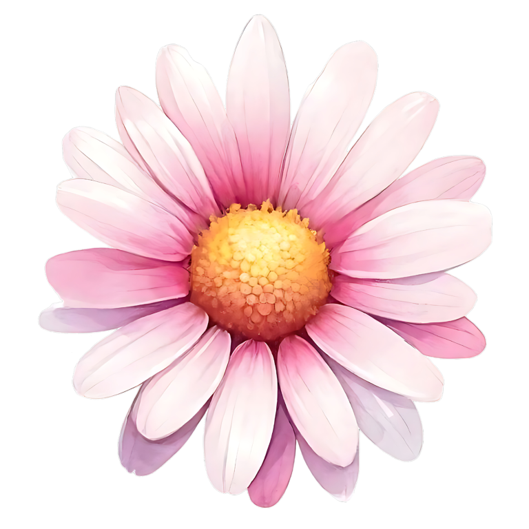 Pink White Daisy Flower Bloom Vinyl Sticker Decal