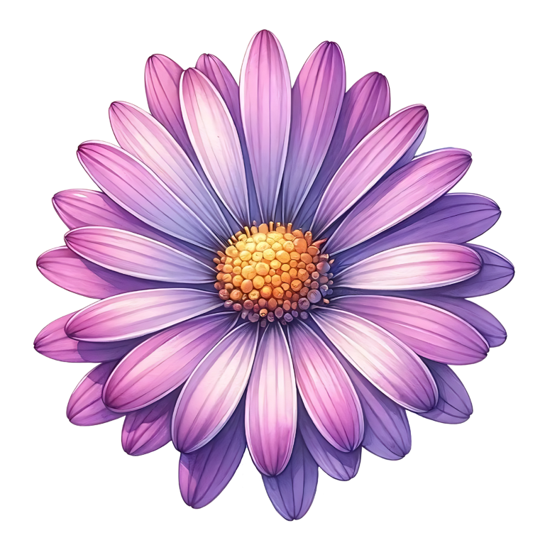 Purple Daisy Flower Closeup Vinyl Sticker Decal