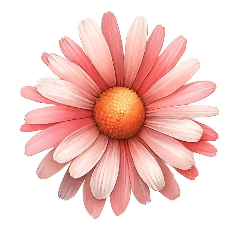 Pink Flower Petals Circle Vinyl Sticker Decal