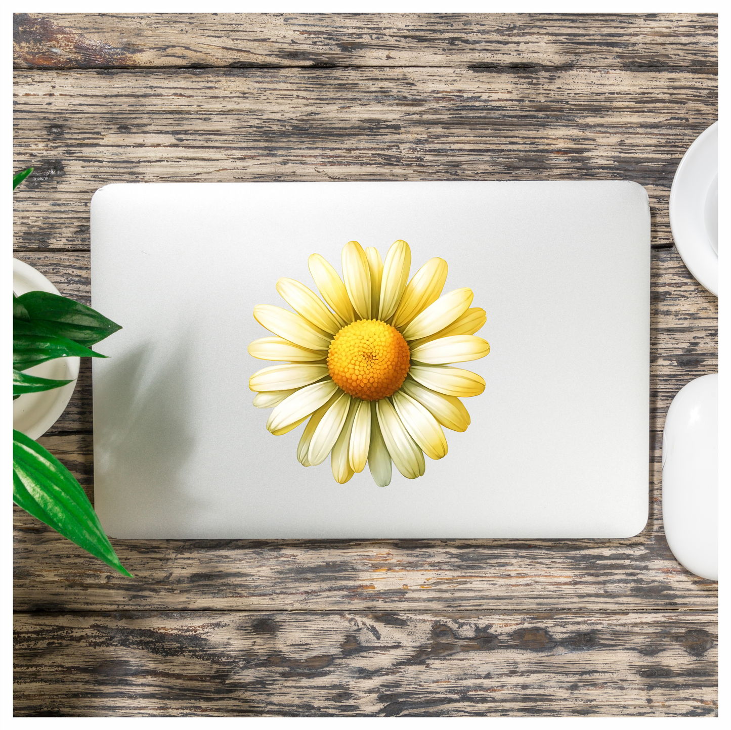 Yellow White Daisy Flower Nature Vinyl Sticker Decal