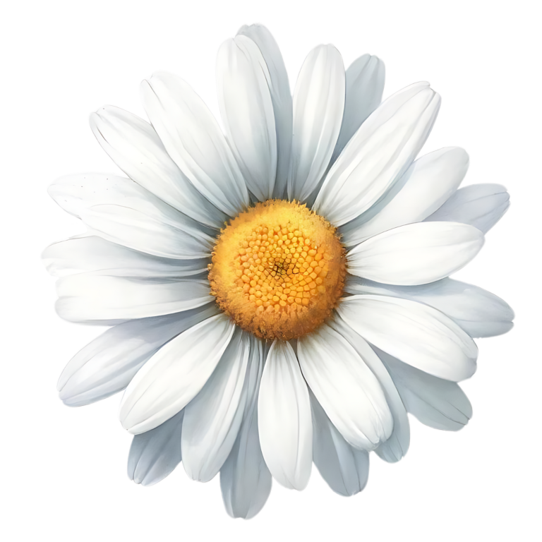 White Yellow Daisy Flower Bloom Vinyl Sticker Decal