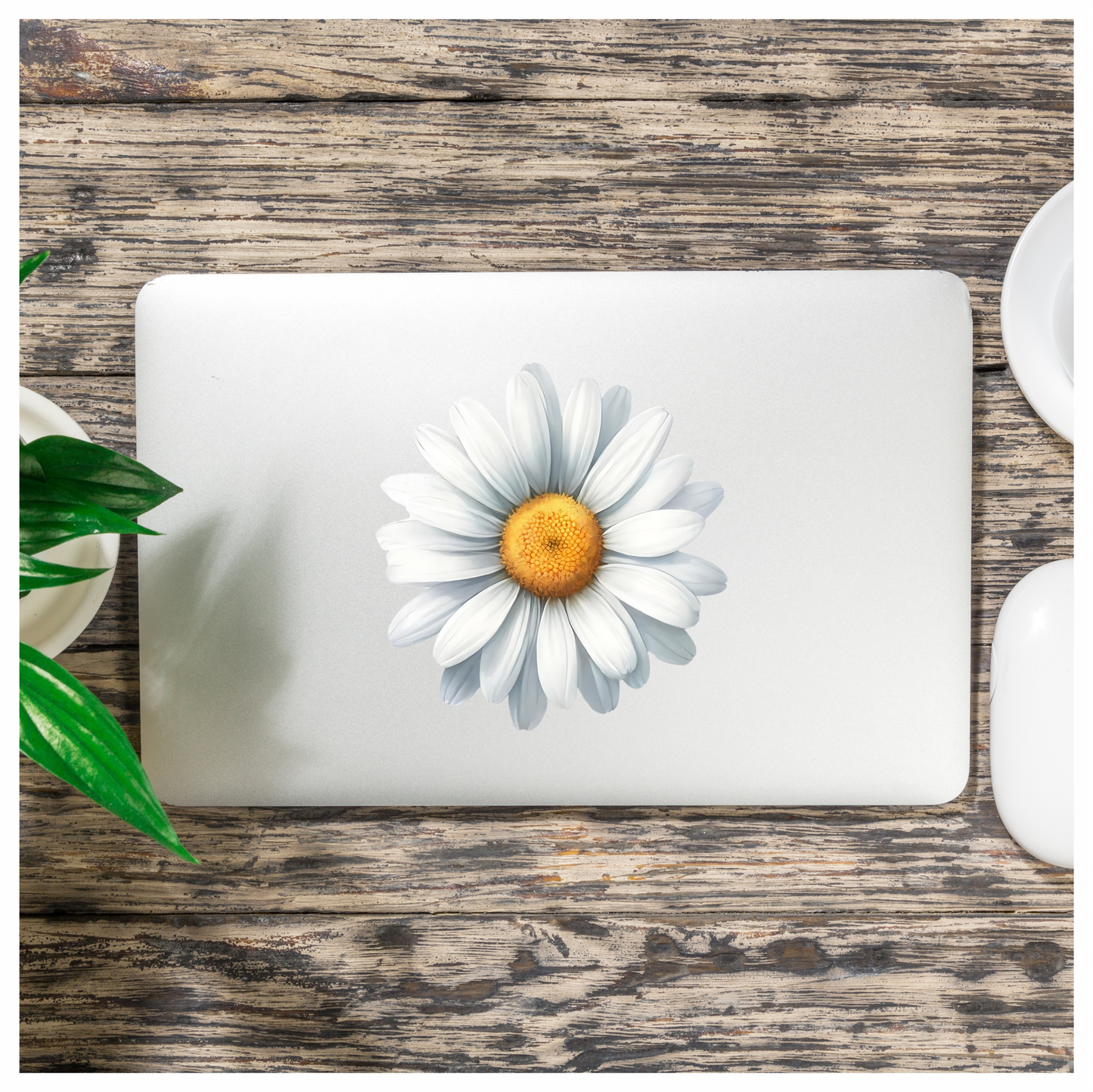 White Yellow Daisy Flower Bloom Vinyl Sticker Decal