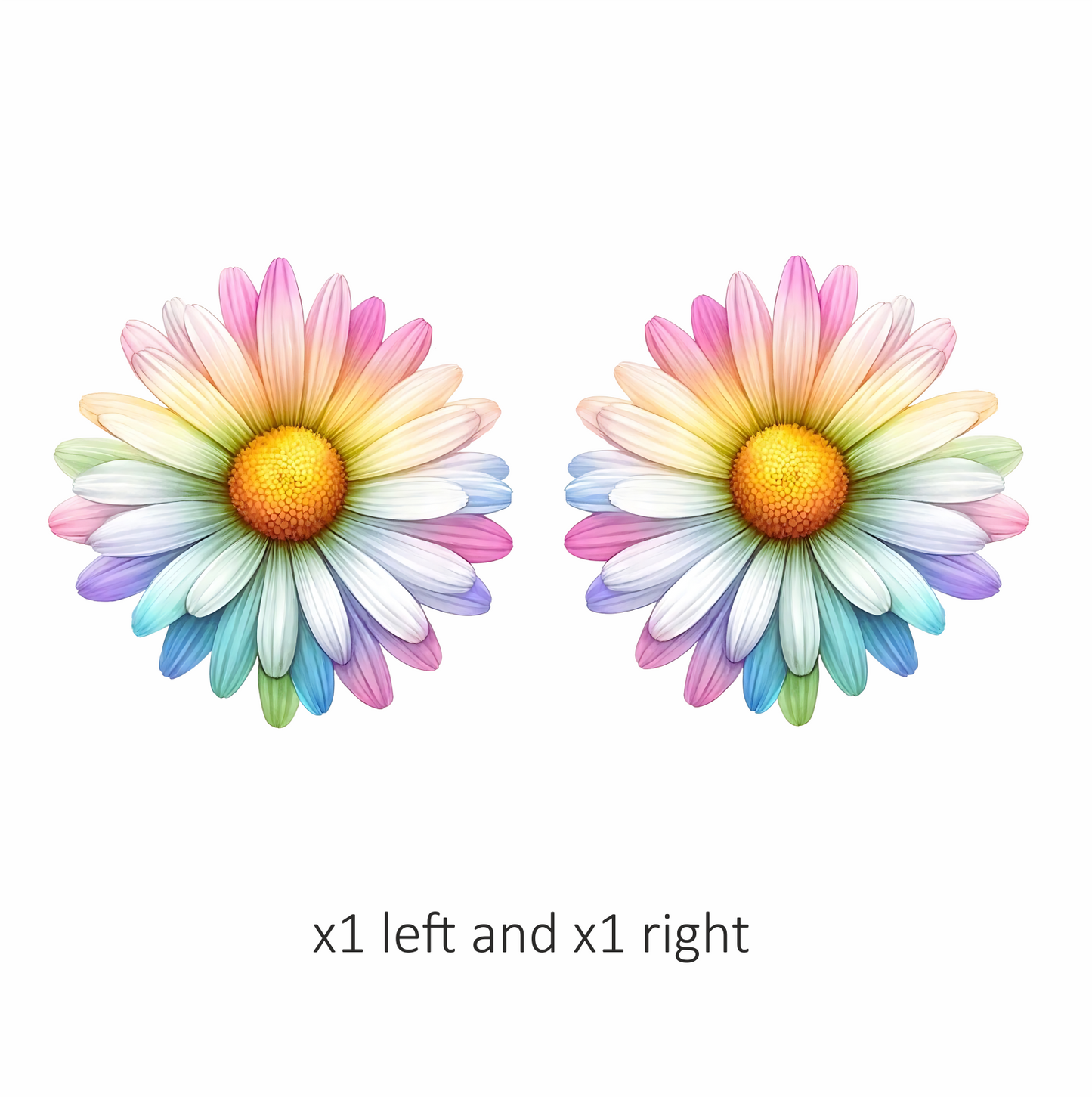 Rainbow Daisy Flower Nature Bright Vinyl Sticker Decal