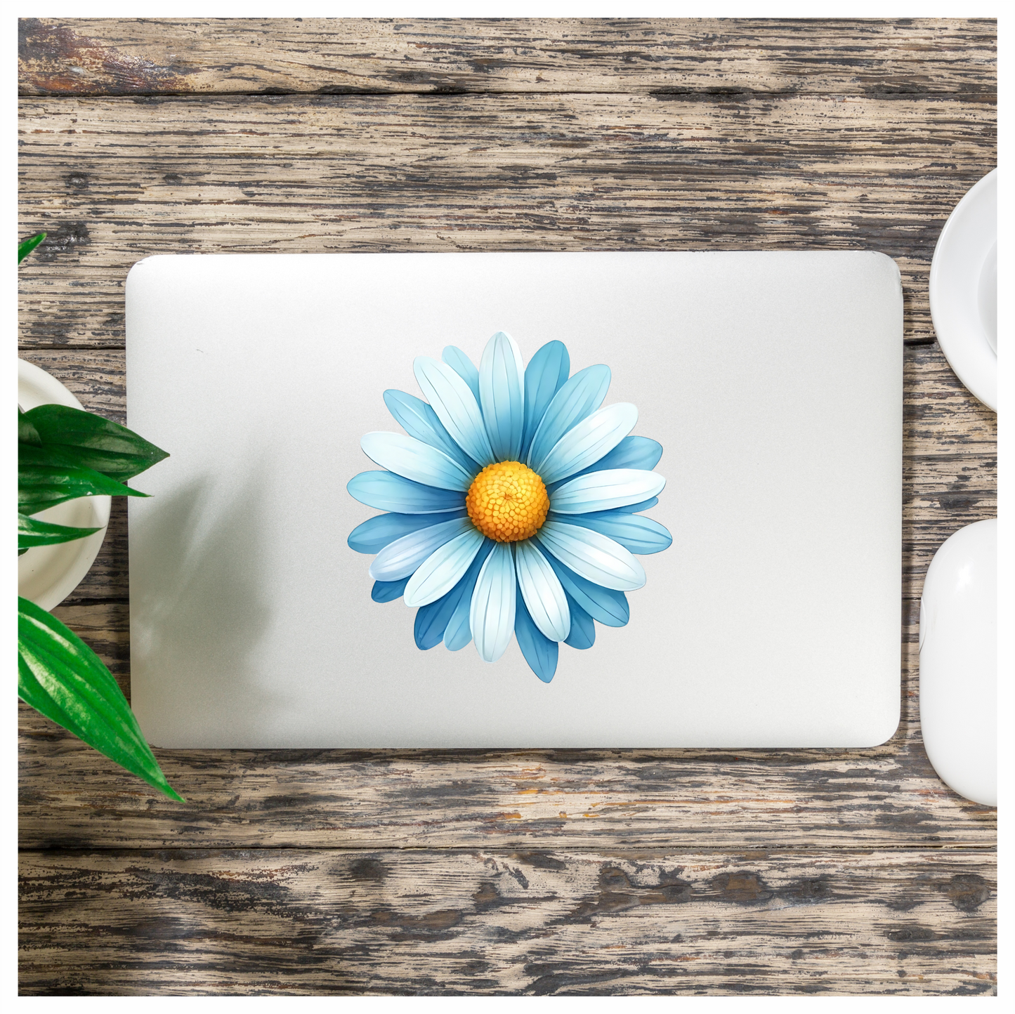 Blue White Daisy Flower Closeup Vinyl Sticker Decal