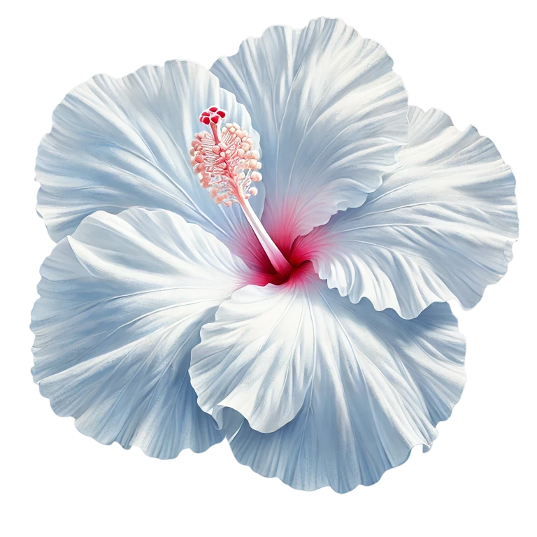 White Hibiscus Flower With Red Vinyl Sticker Decal