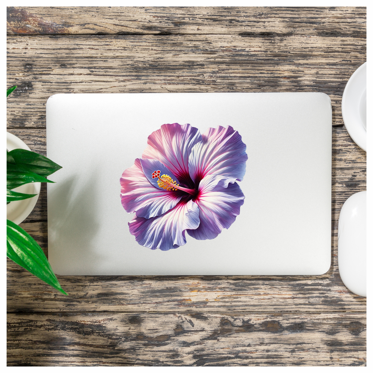 Pink White Hibiscus Flower Closeup Vinyl Sticker Decal