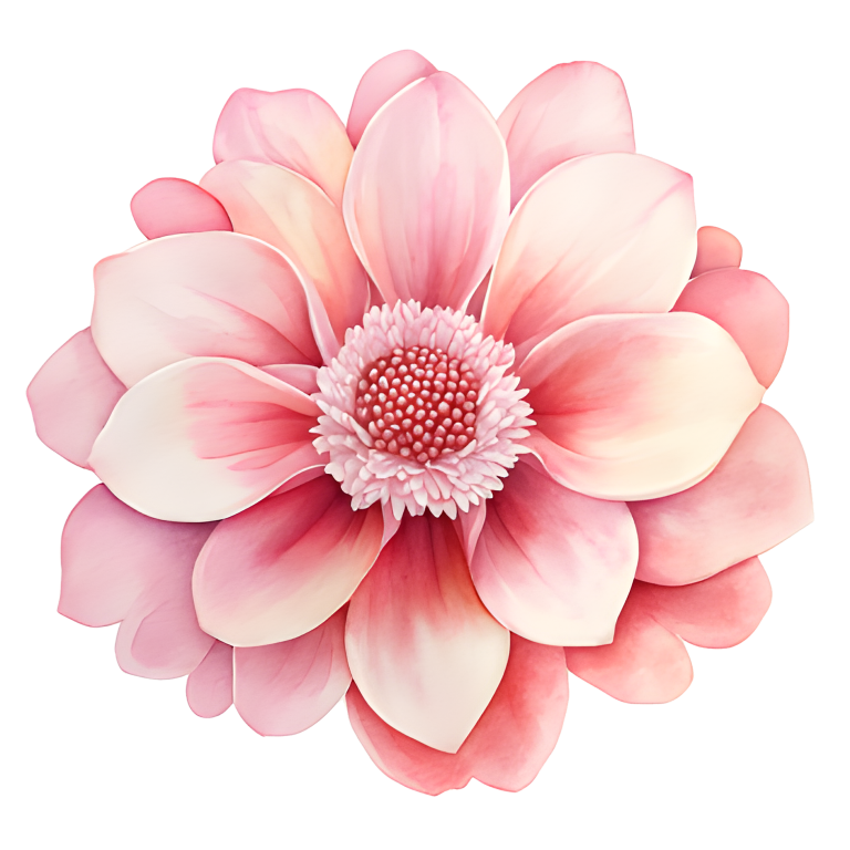 Pink Flower Bloom Petals Nature Vinyl Sticker Decal