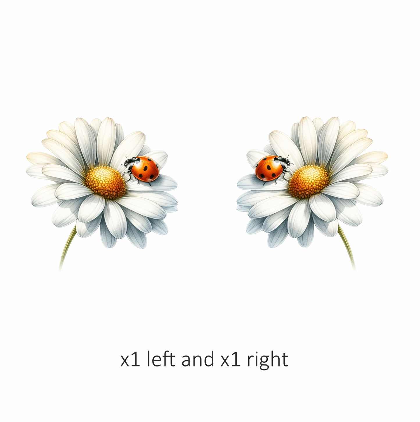 White Daisy Yellow Center Red Ladybug Vinyl Sticker Decal
