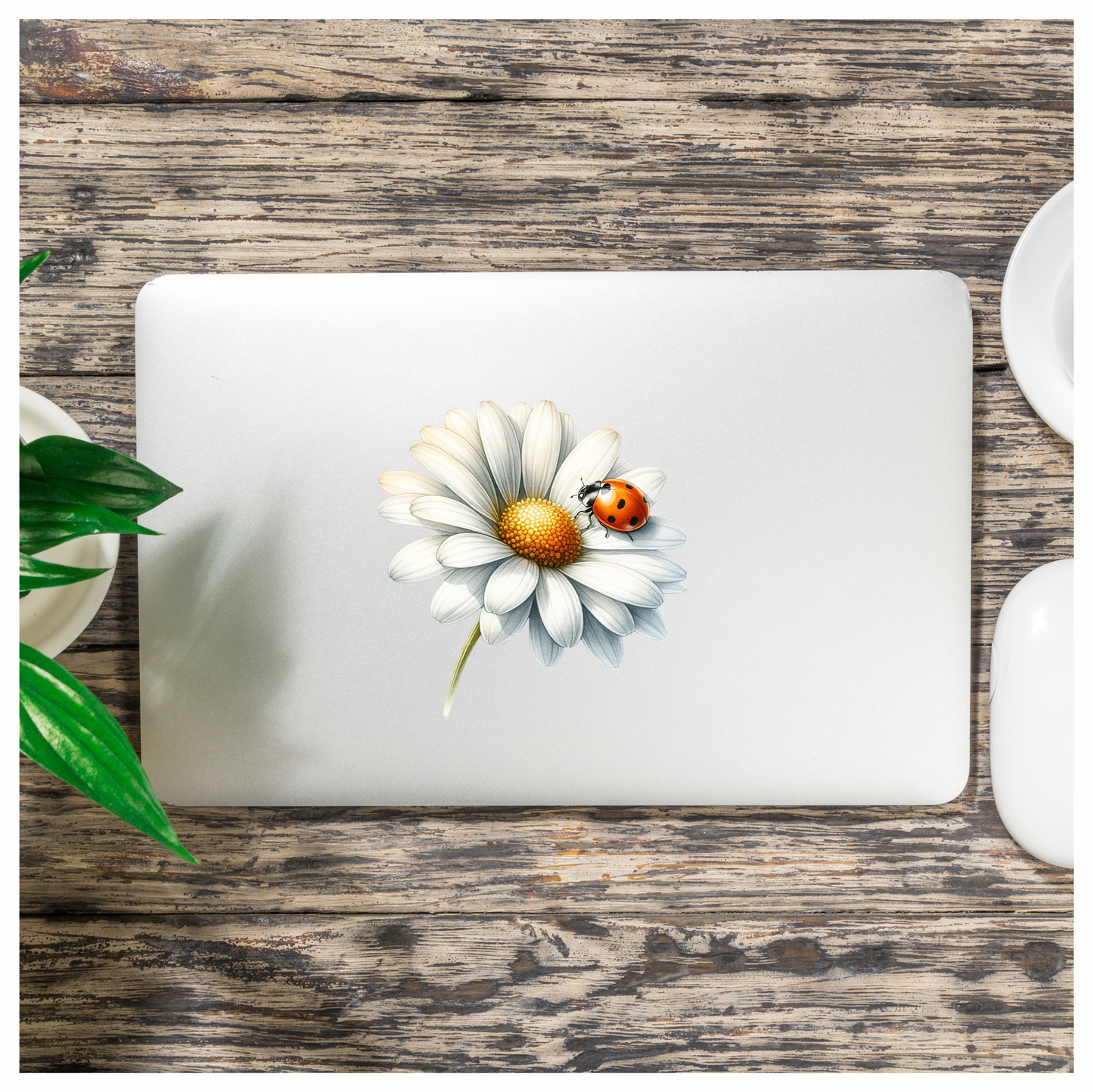 White Daisy Yellow Center Red Ladybug Vinyl Sticker Decal