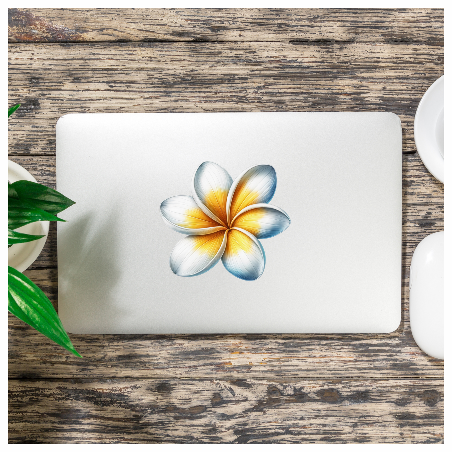 White Yellow Blue Petal Flower Vinyl Sticker Decal
