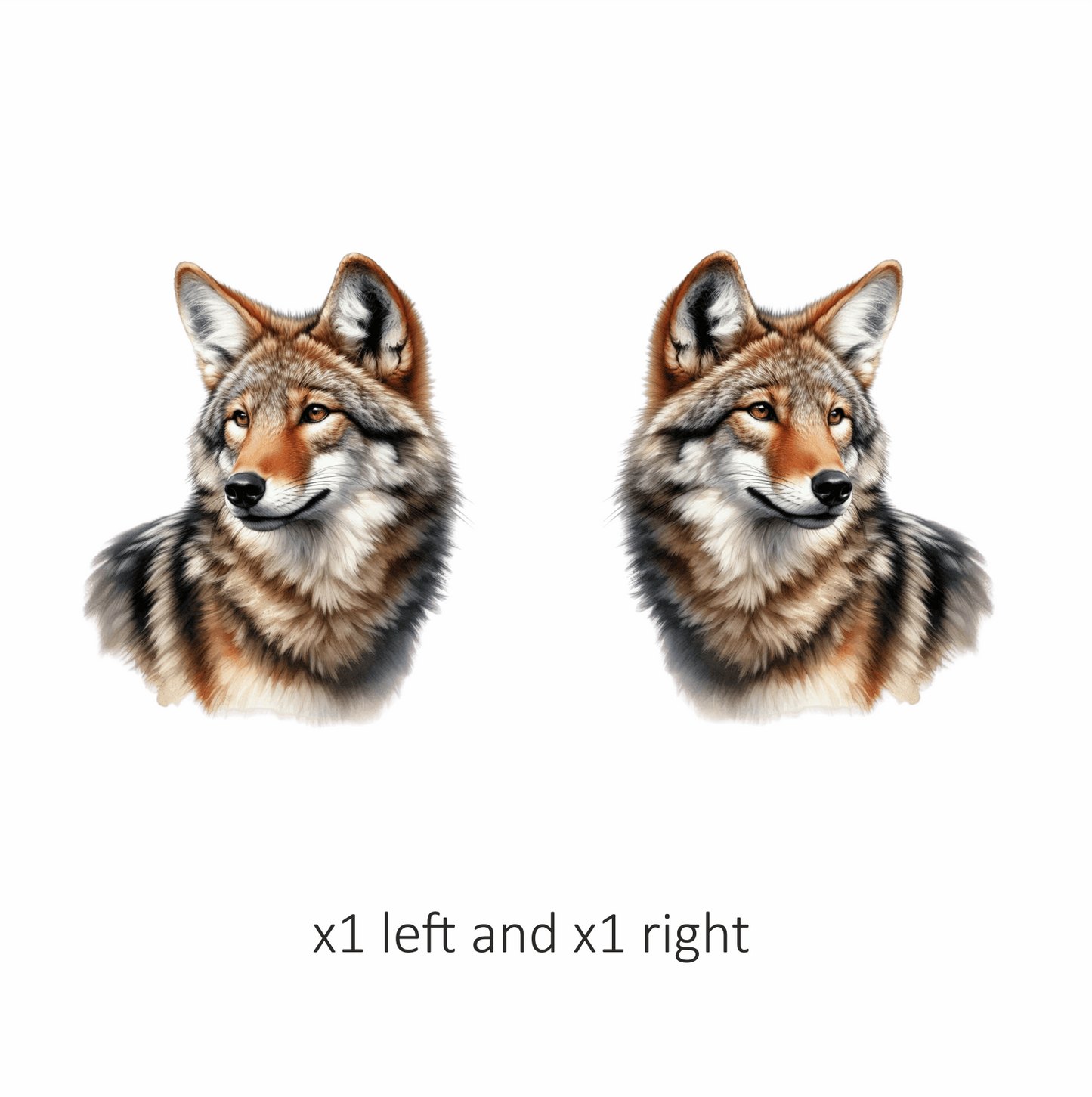 Brown Coyote Realistic Animal Portrait Vinyl Sticker Decal
