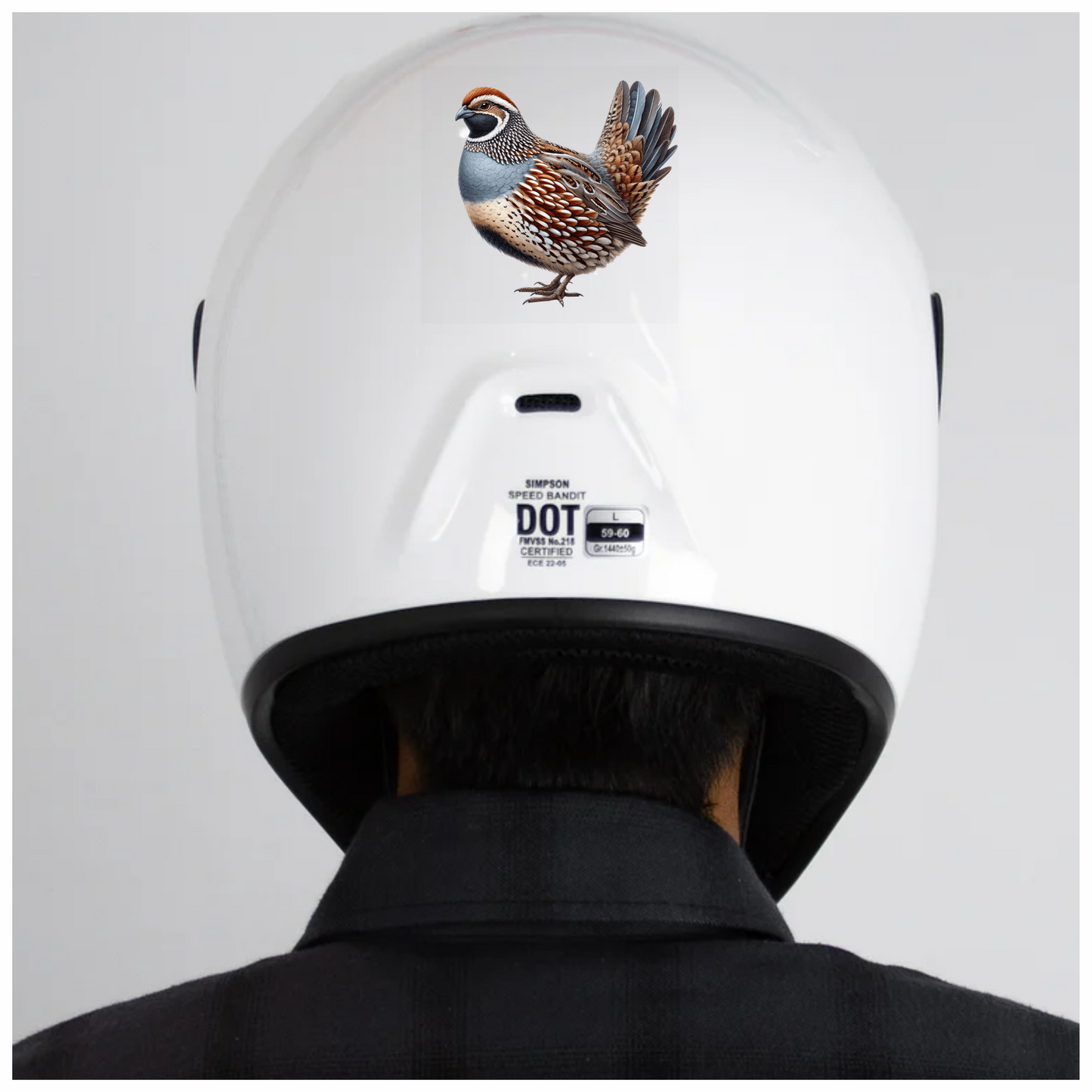 Brown Quail Bird Bobwhite Species Vinyl Sticker Decal