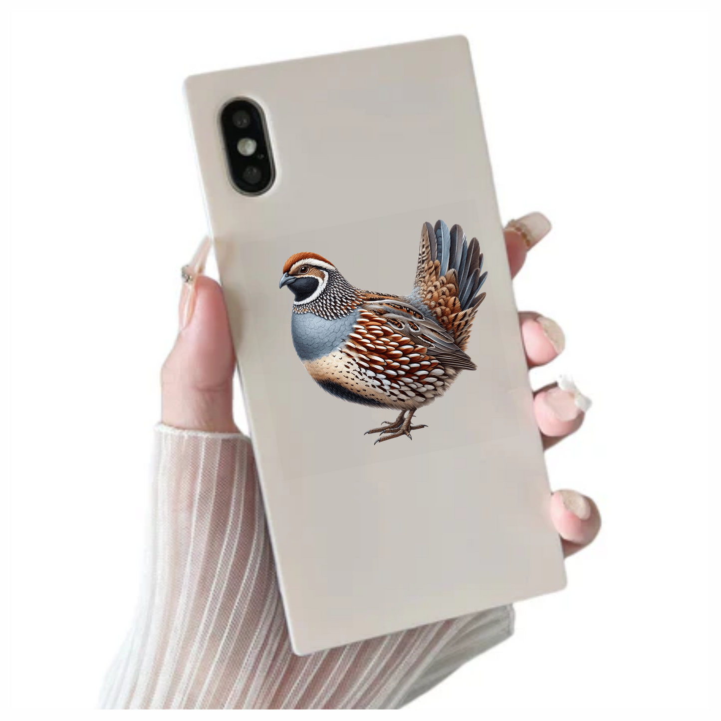 Brown Quail Bird Bobwhite Species Vinyl Sticker Decal