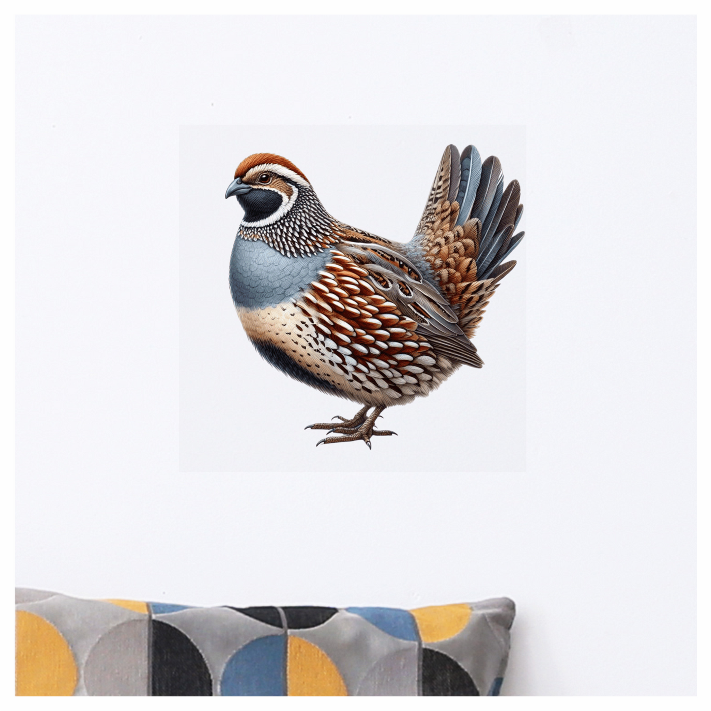 Brown Quail Bird Bobwhite Species Vinyl Sticker Decal