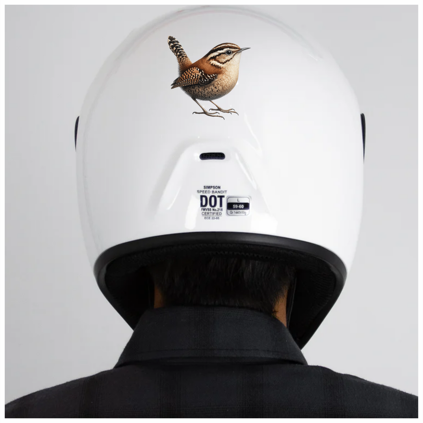 Brown Wren Small Bird Forest Vinyl Sticker Decal