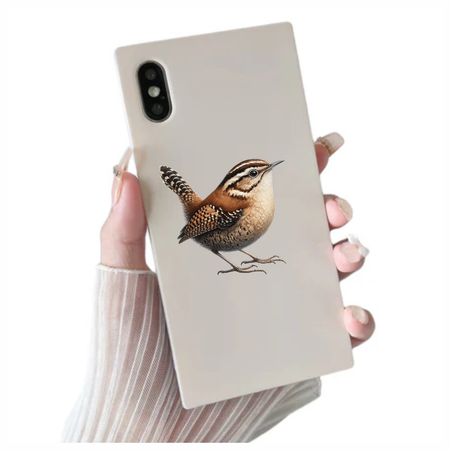 Brown Wren Small Bird Forest Vinyl Sticker Decal