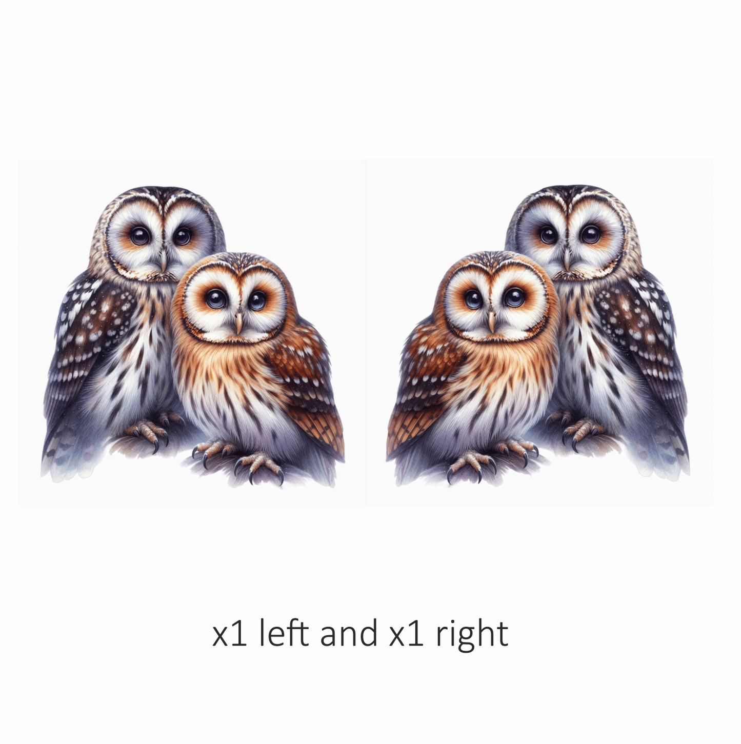 Brown Owl White Owl Together Pair Vinyl Sticker Decal