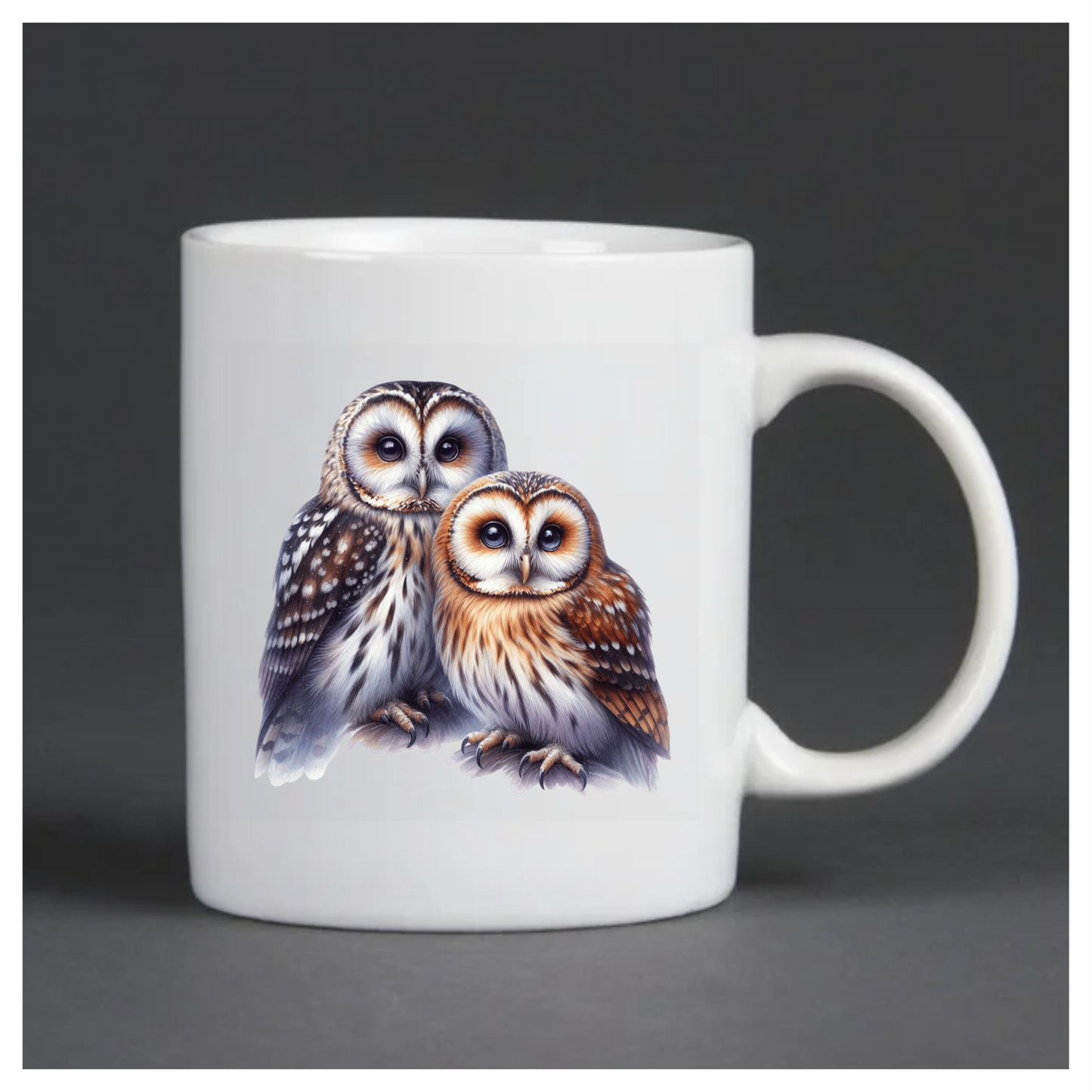 Brown Owl White Owl Together Pair Vinyl Sticker Decal