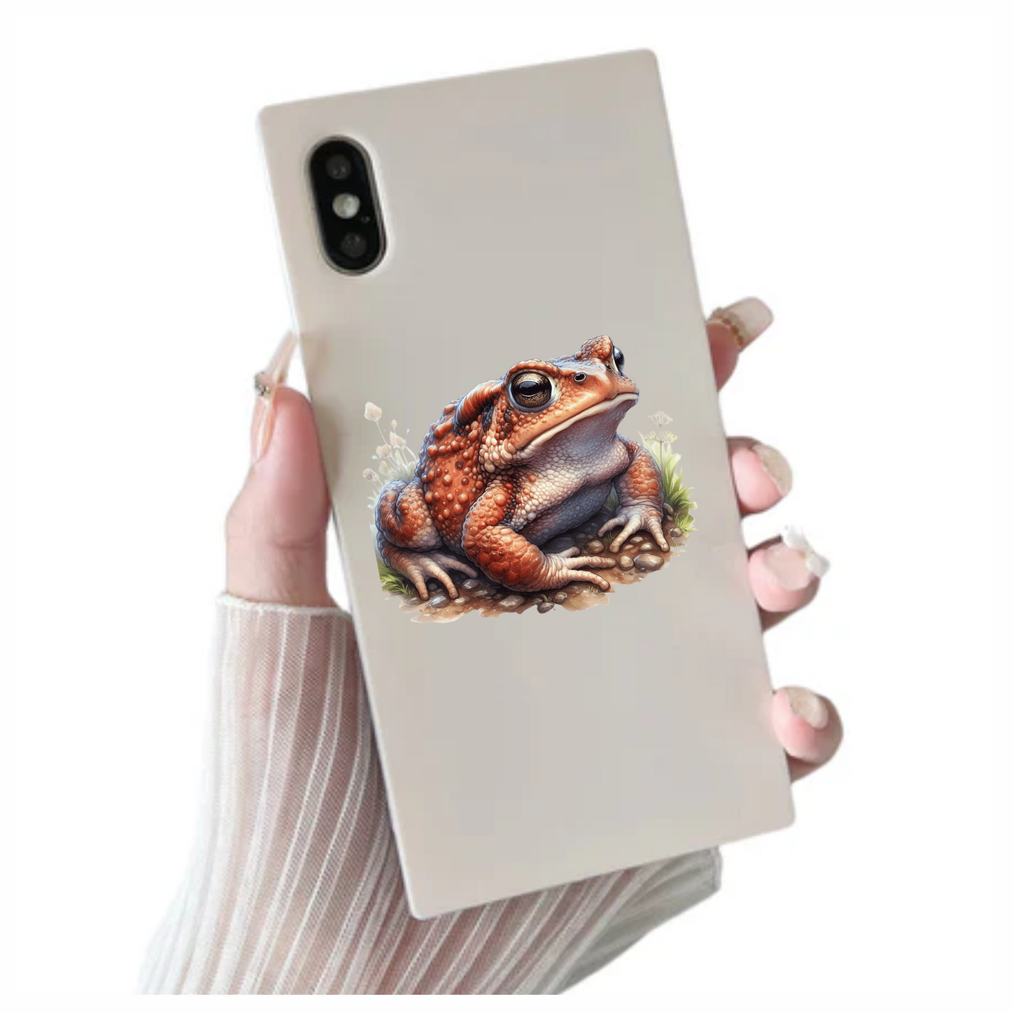 Orange Toad Rocky Ground Nature Vinyl Sticker Decal