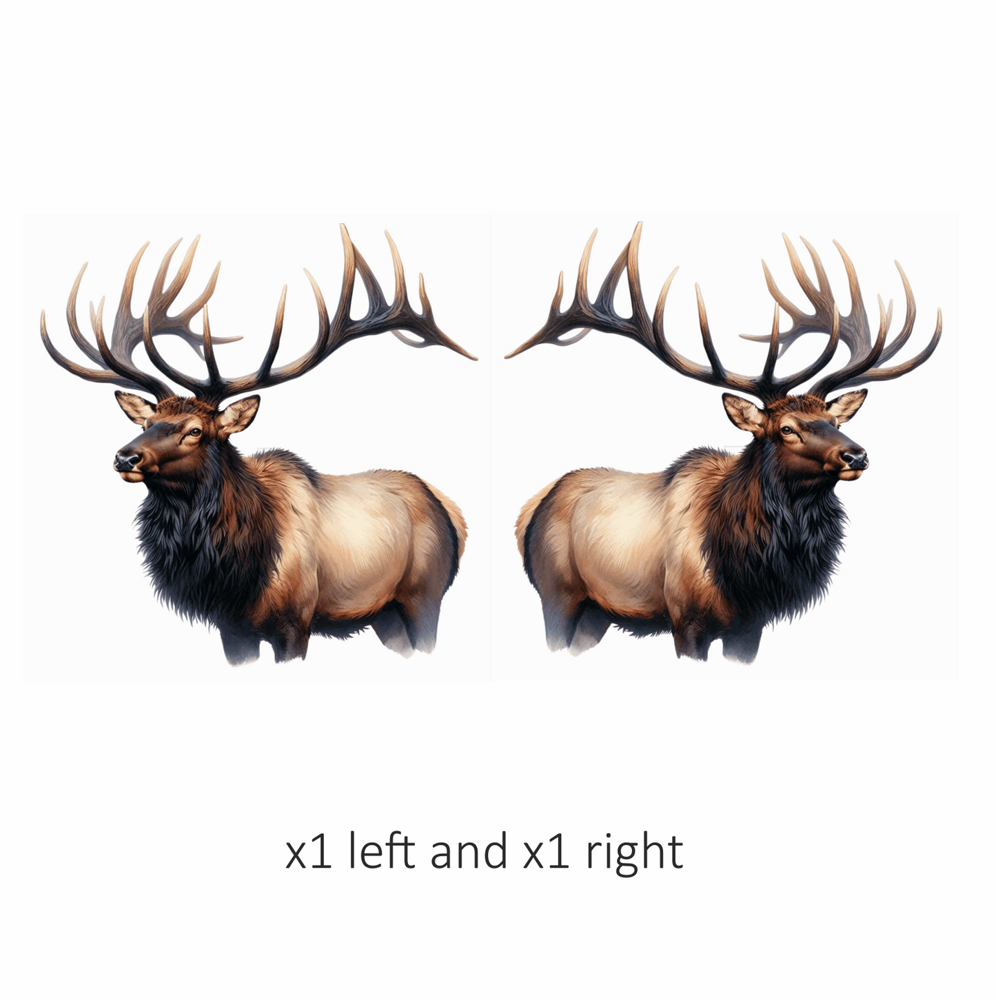 Elk Brown Antlers Fur Animal Vinyl Sticker Decal
