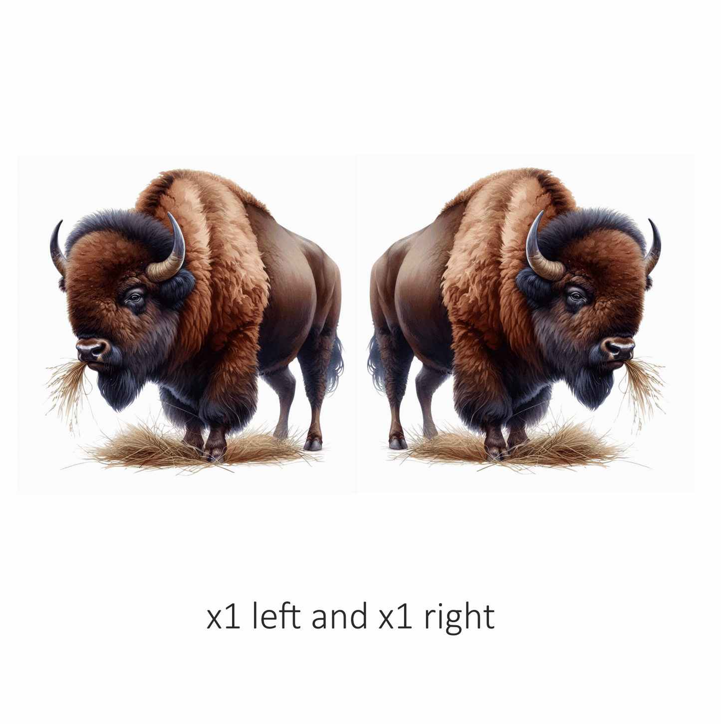 Bison Brown Animal Grazing Hay Vinyl Sticker Decal