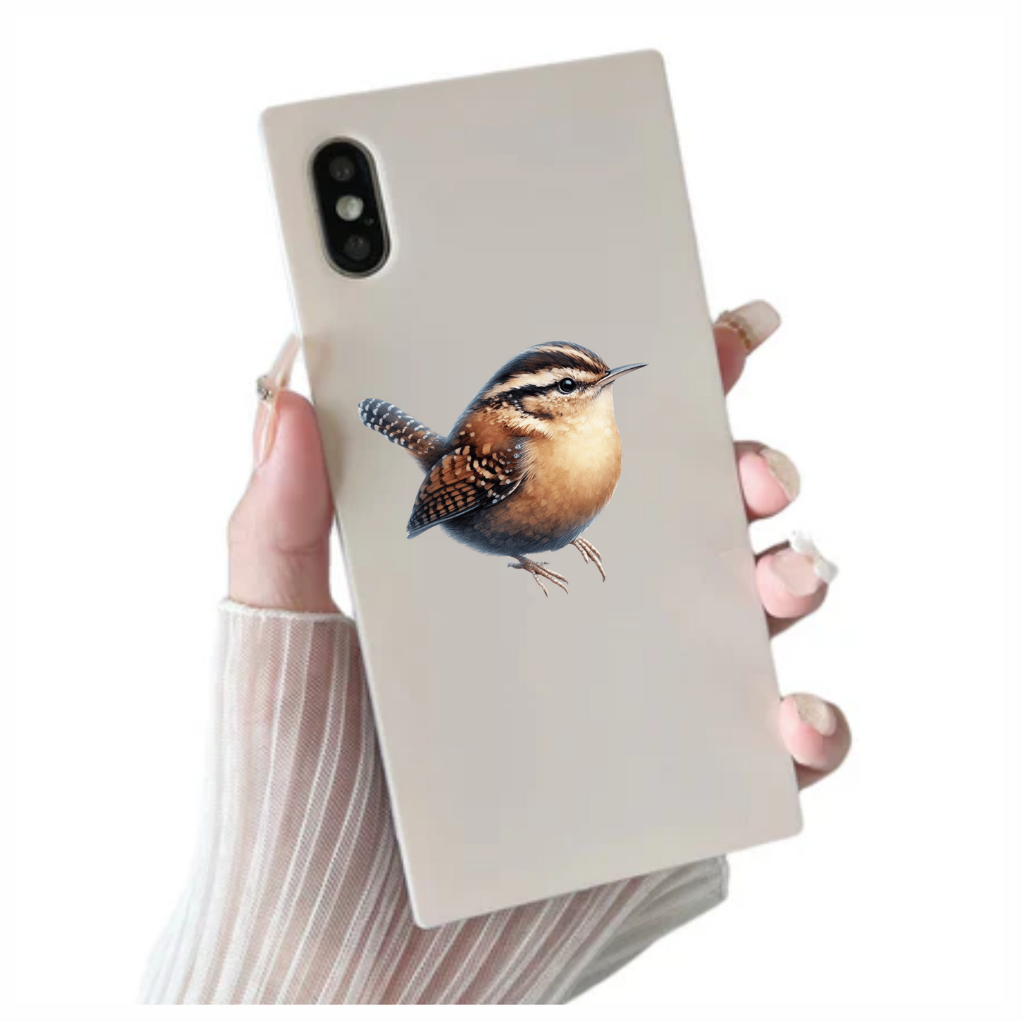 Wren Brown Bird Forest Vinyl Sticker Decal