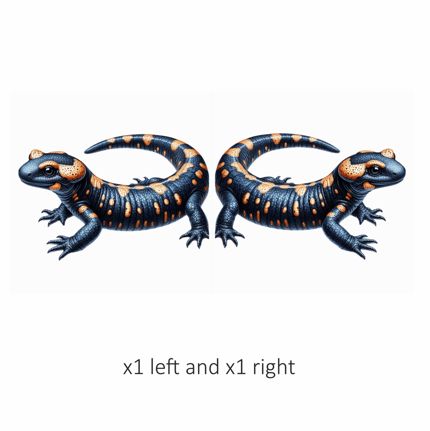 Salamander Orange Black Vinyl Sticker Decal