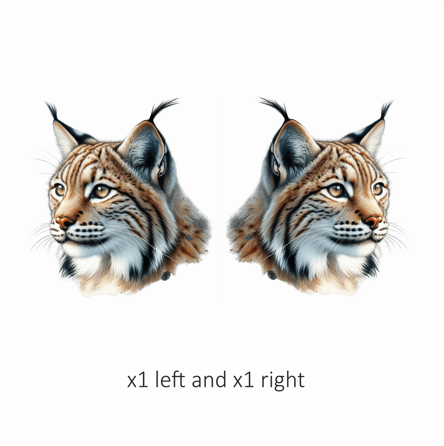 Lynx Brown Eyes Feline Fur Vinyl Sticker Decal