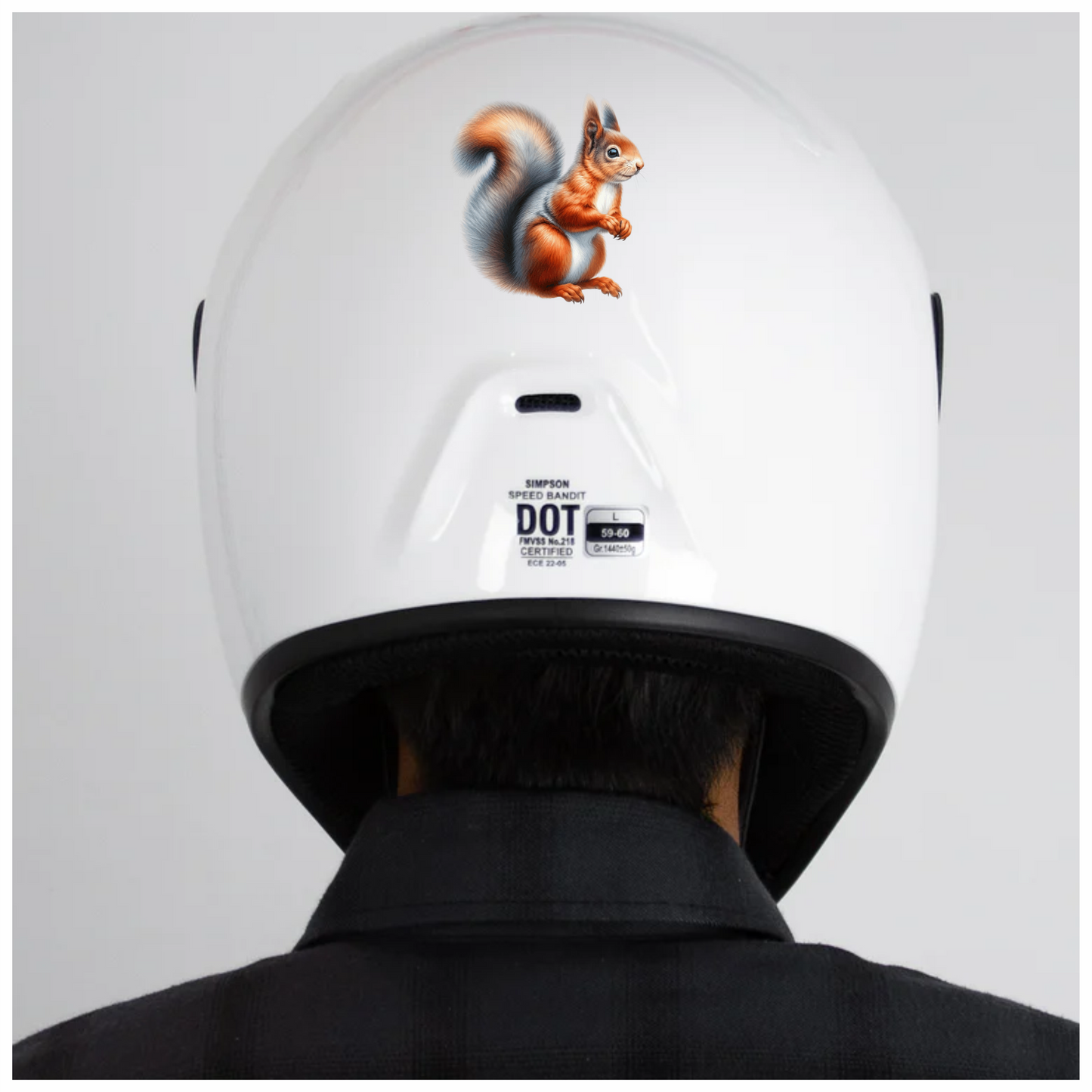 Orange White Squirrel Red Vinyl Sticker Decal