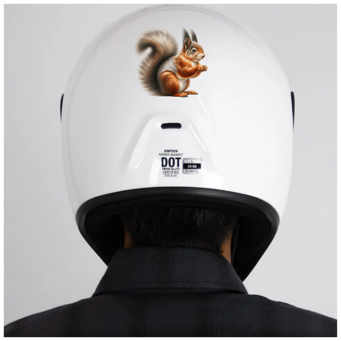 Red Squirrel Fluffy Tail Forest Vinyl Sticker Decal