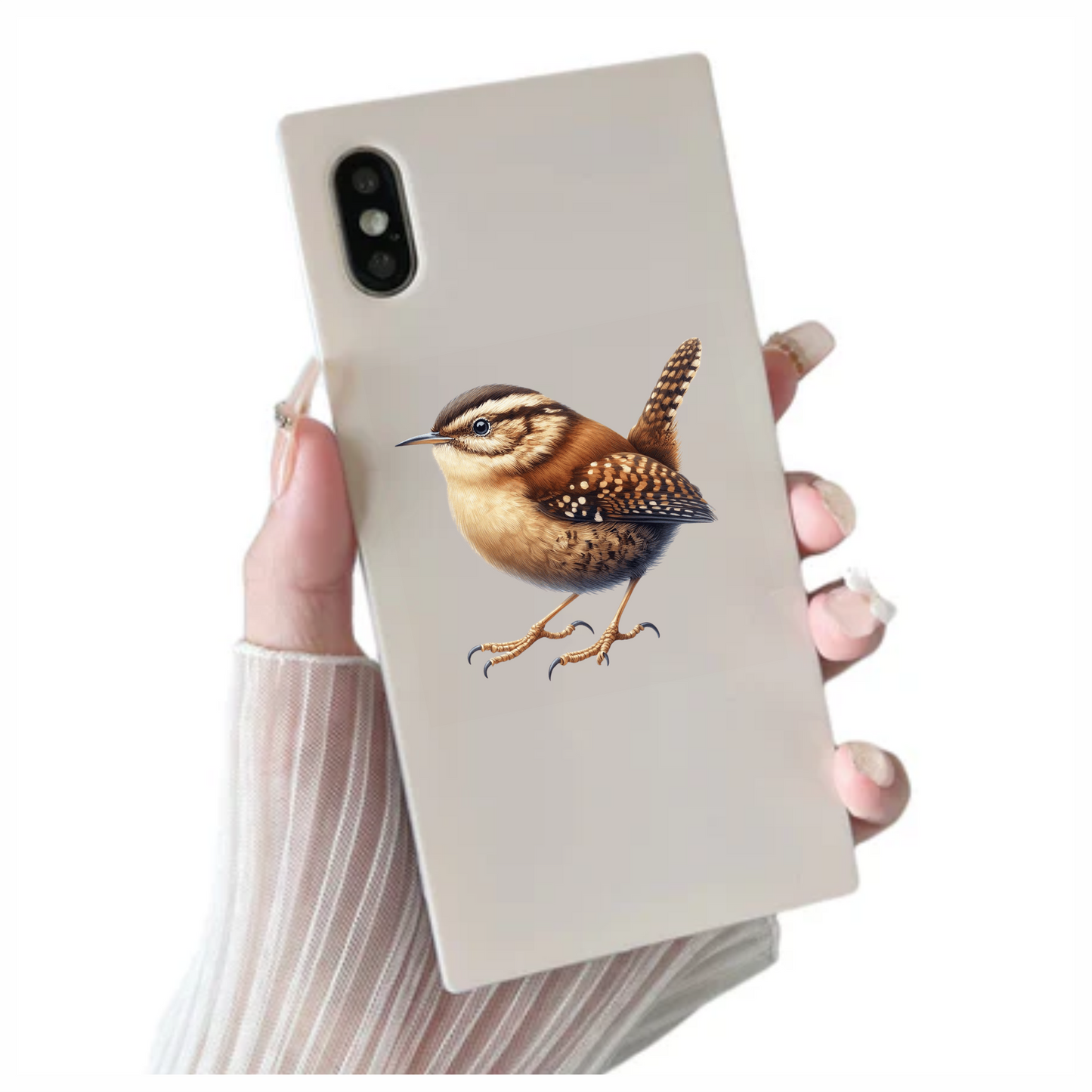 Brown Wren Small Bird Realistic Vinyl Sticker Decal