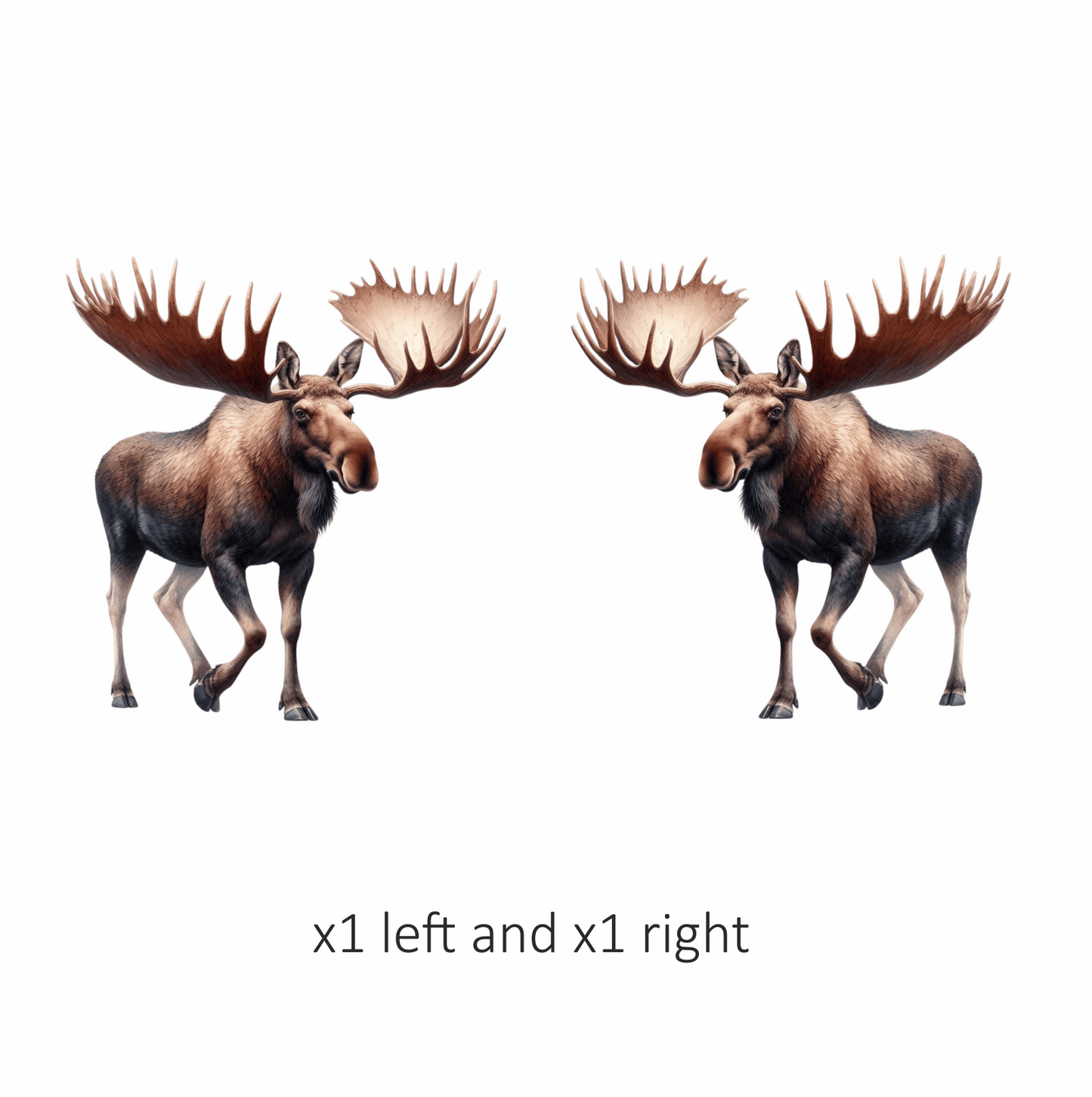 Brown Moose Large Antlers Walking Vinyl Sticker Decal