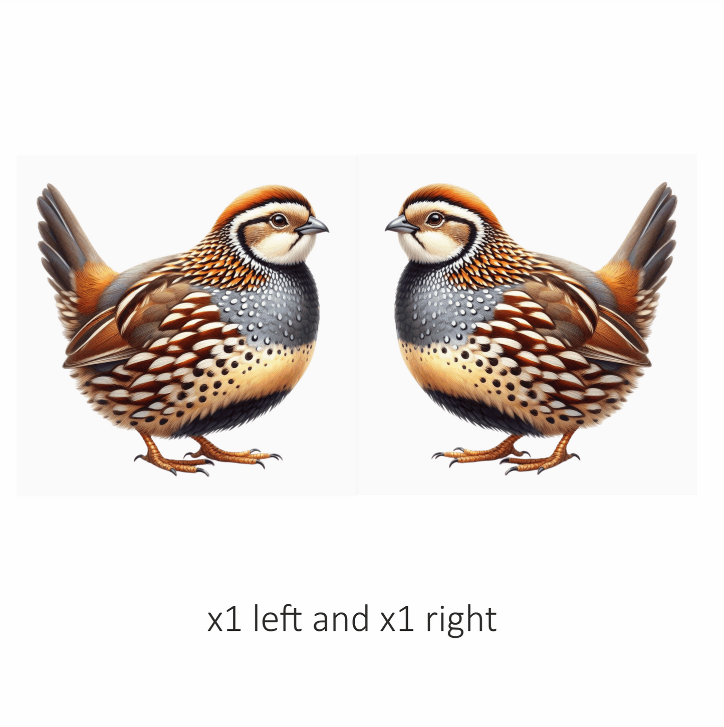 Brown Bird Quail Patterned Feathers Vinyl Sticker Decal