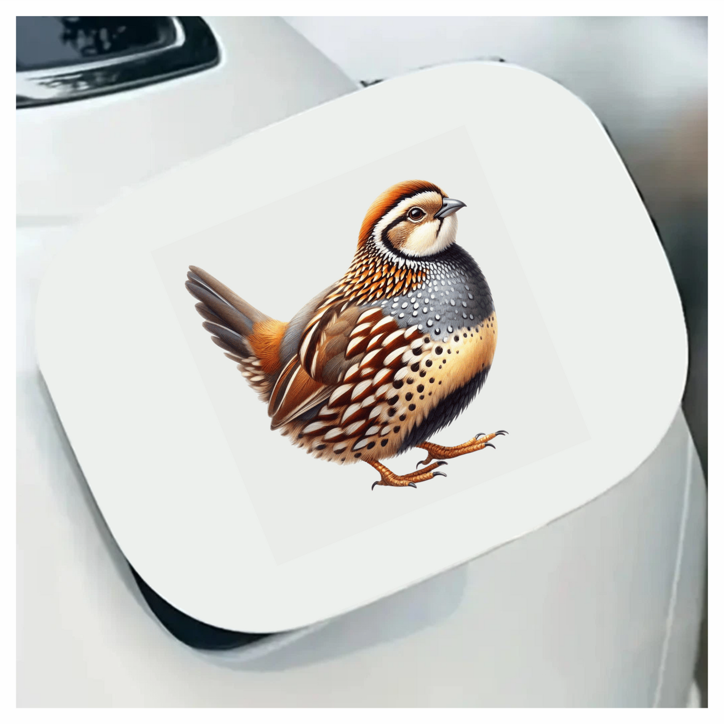 Brown Bird Quail Patterned Feathers Vinyl Sticker Decal