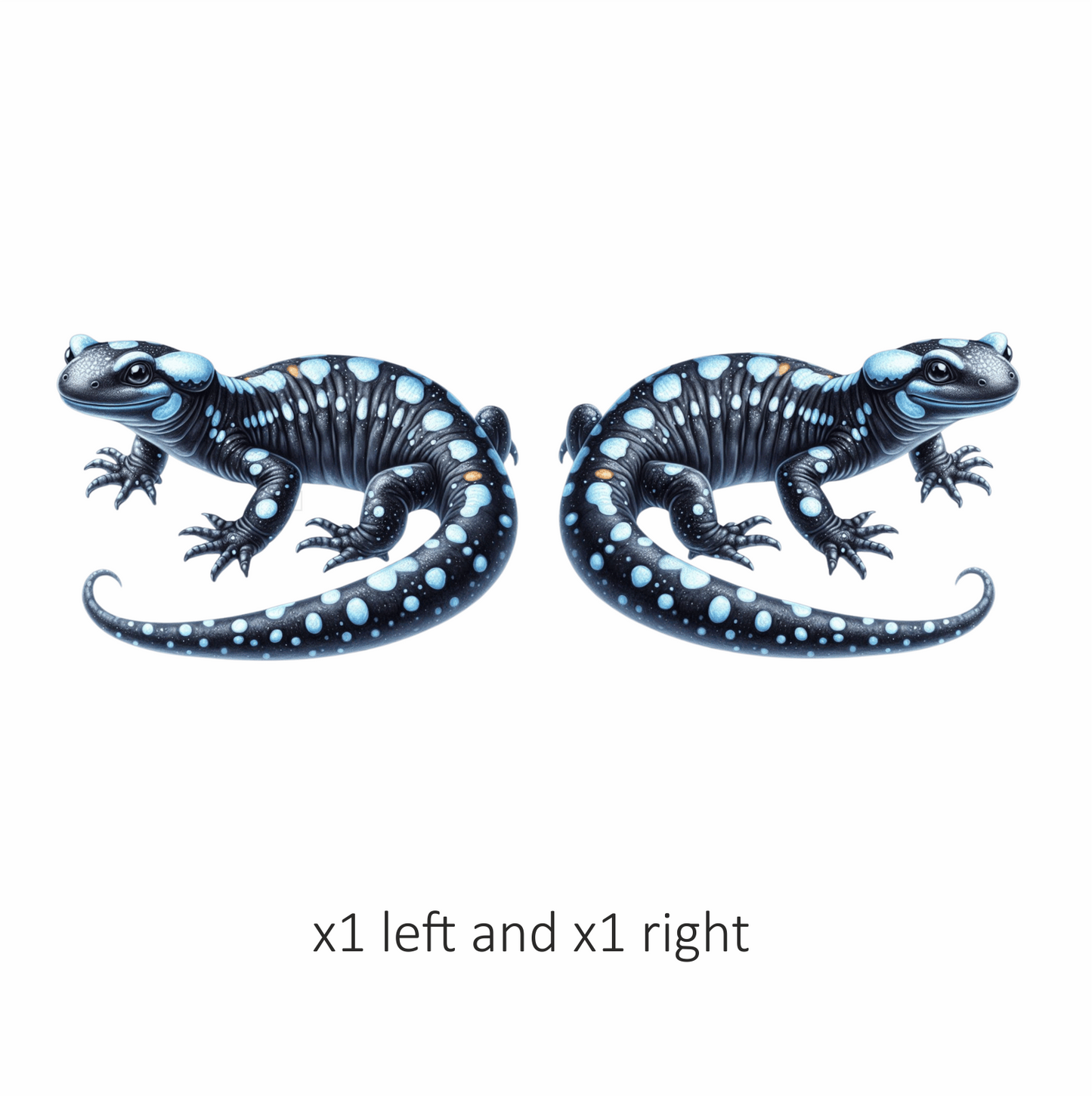 Black Salamander Blue Spots Vinyl Sticker Decal