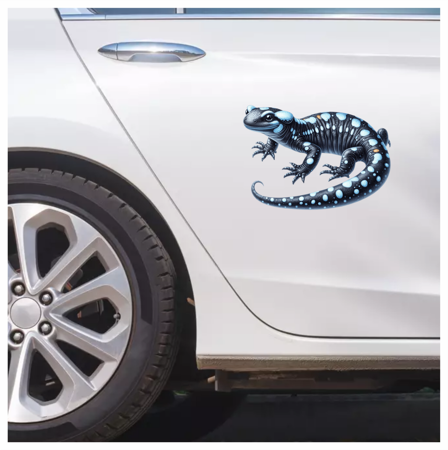 Black Salamander Blue Spots Vinyl Sticker Decal