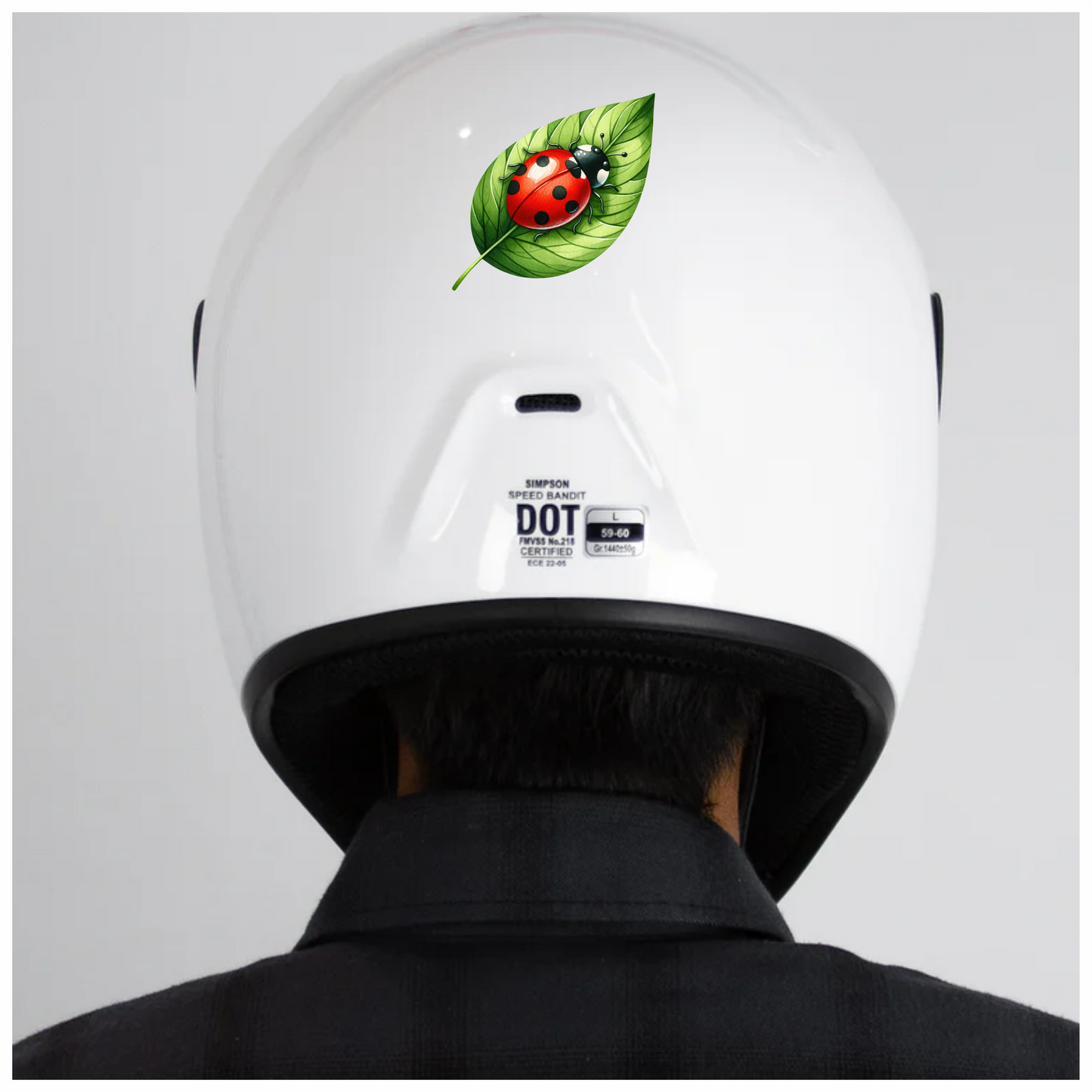 Red Ladybug Green Leaf Vinyl Sticker Decal