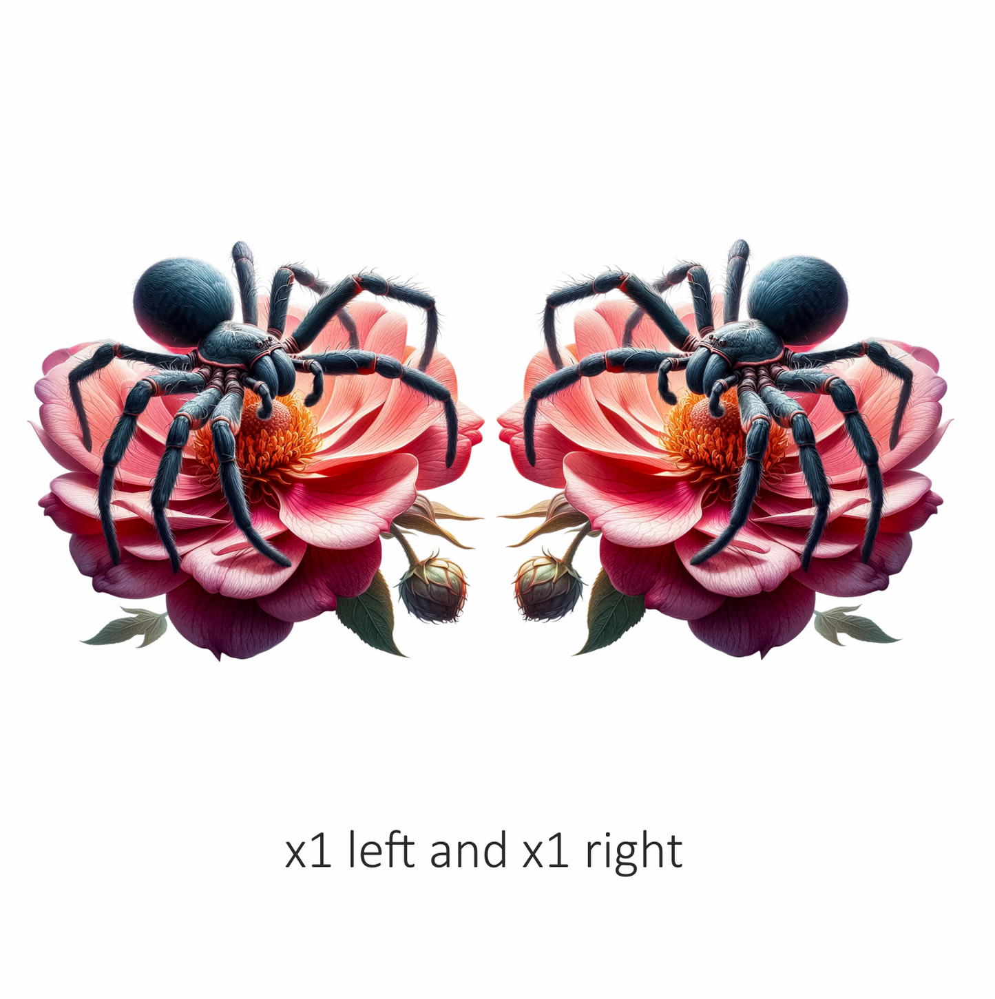 Spider Blue Flower Pink Tarantula Nature Vinyl Sticker Decal