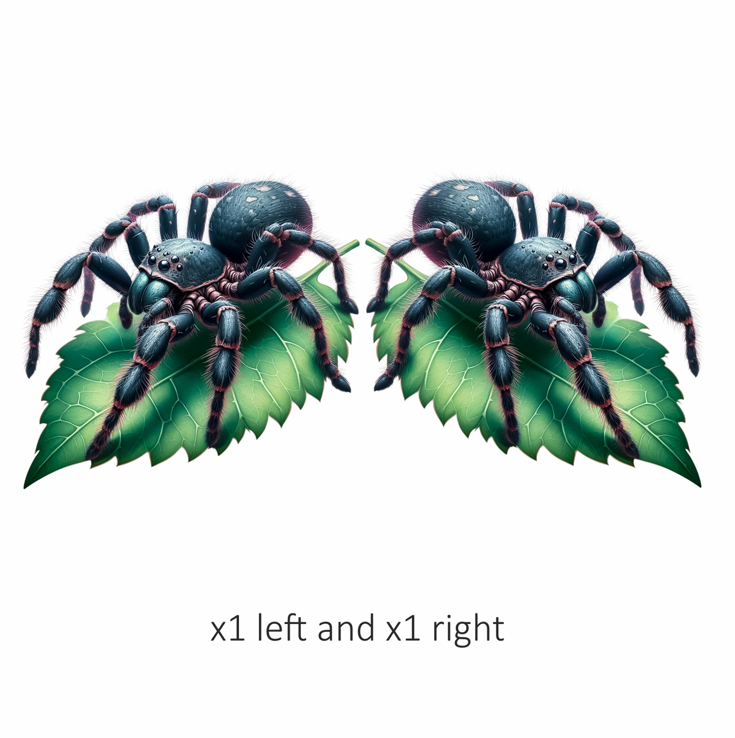Spider Blue Tarantula Leaf Vinyl Sticker Decal