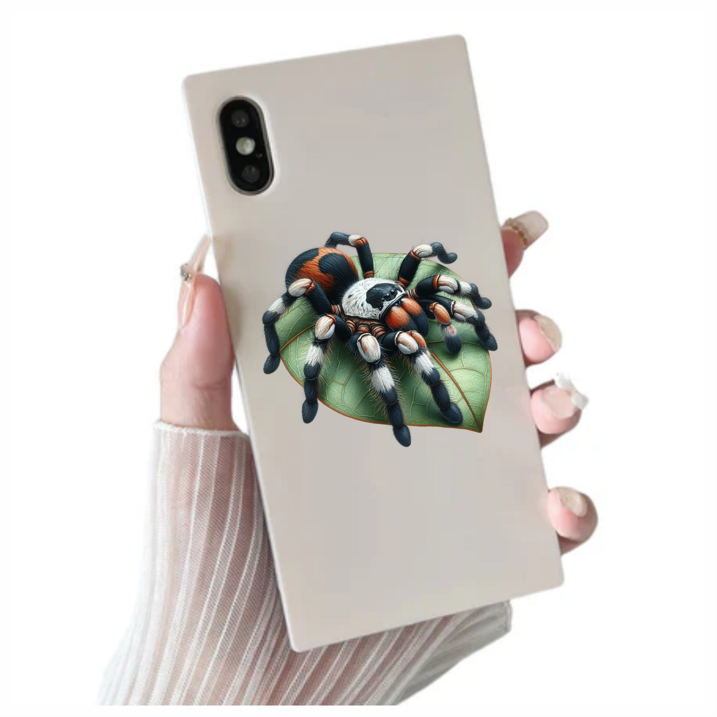 Tarantula Black Red Spider Leaf Vinyl Sticker Decal
