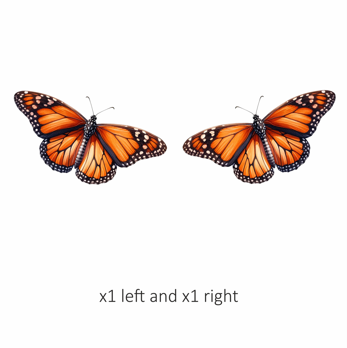 Monarch Butterfly Orange Black Wings Vinyl Sticker Decal