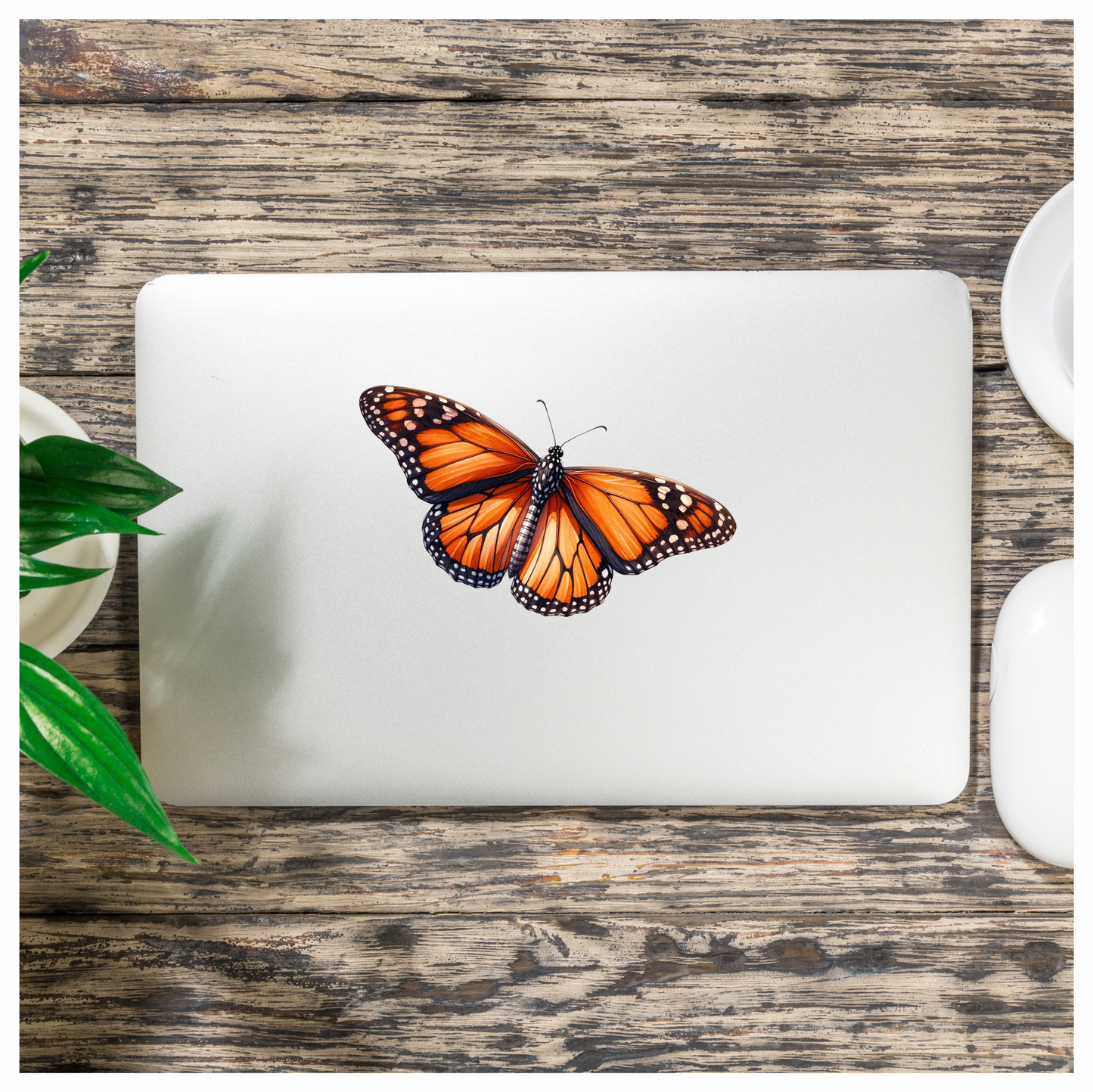 Monarch Butterfly Orange Black Wings Vinyl Sticker Decal