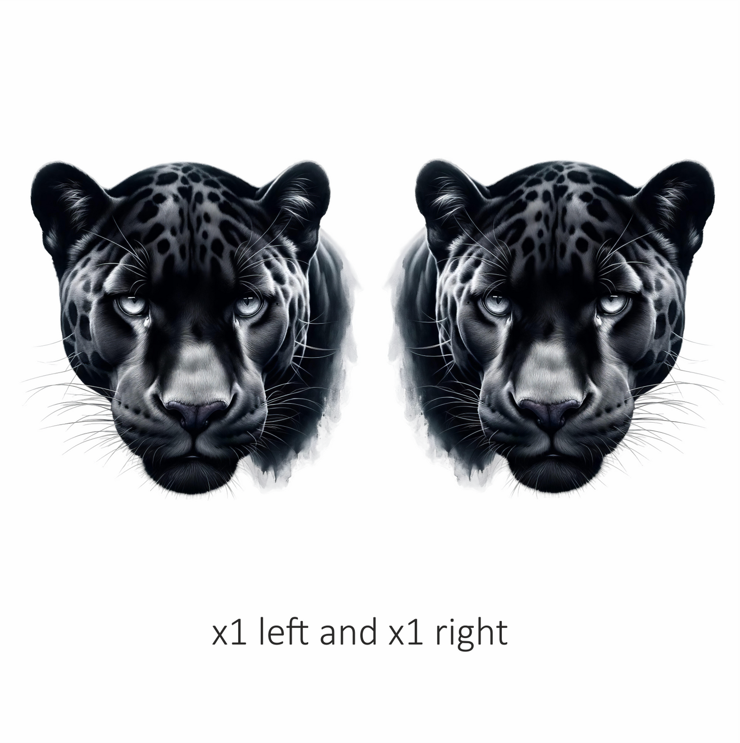 Black Leopard Eyes Vinyl Sticker Decal